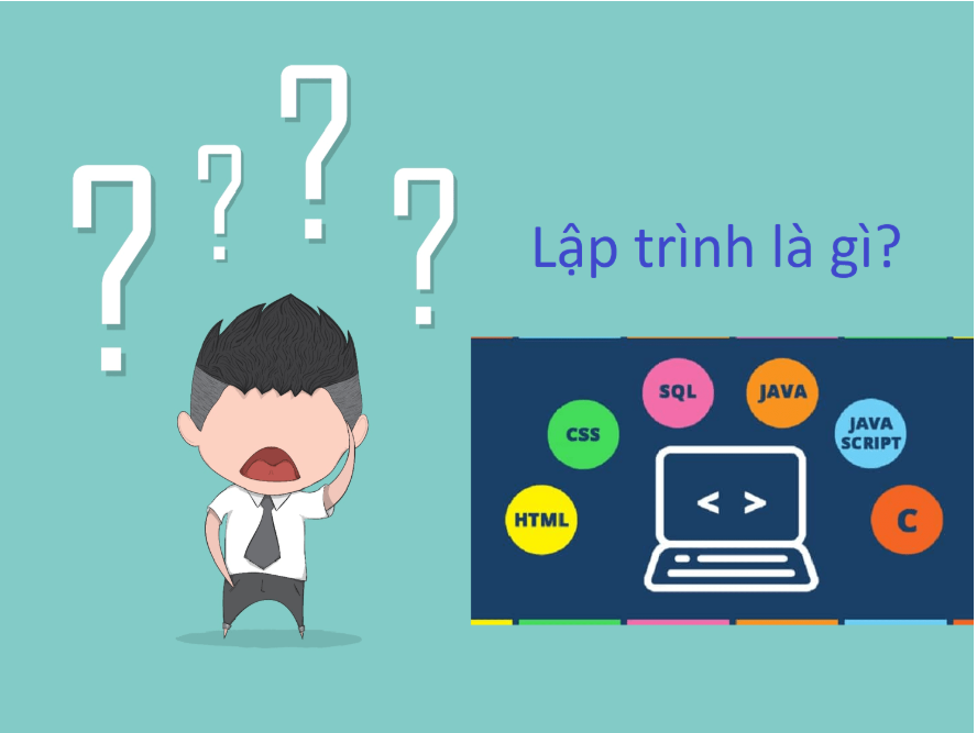 Lập trình viên là gì