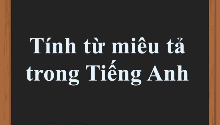 các tính từ miêu tả trong tiếng anh