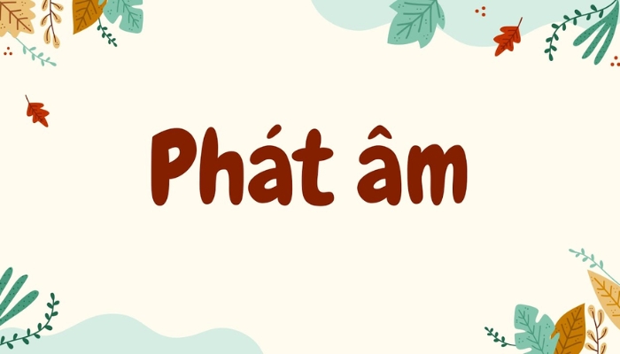 Không chú trọng đến cách phát âm