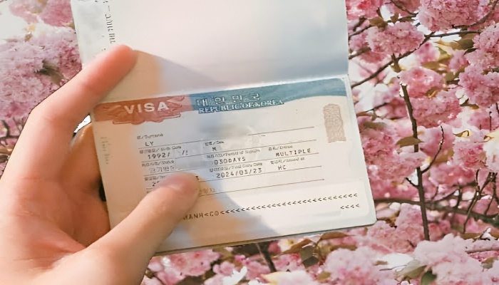 Đặc quyền của visa d4-1