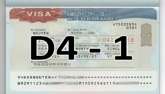 visa d4-1 là gì