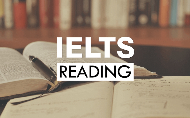 cấu trúc bài thi ielts reading