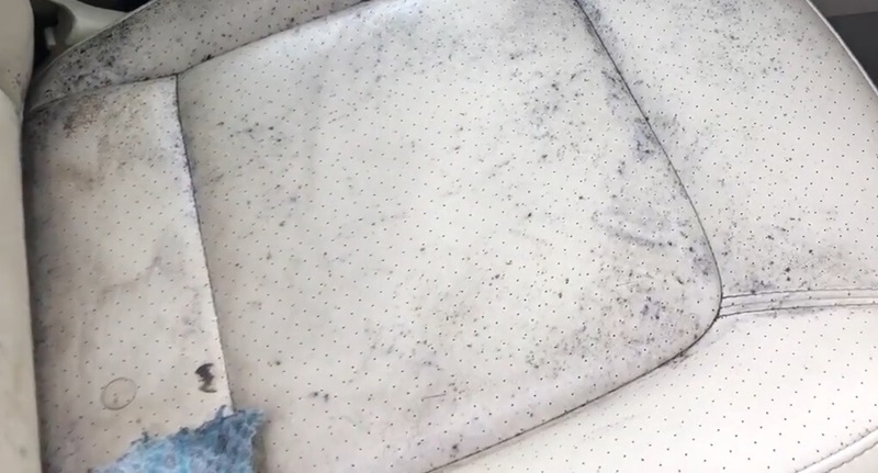 dấu hiệu nhận biến sofa mốc
