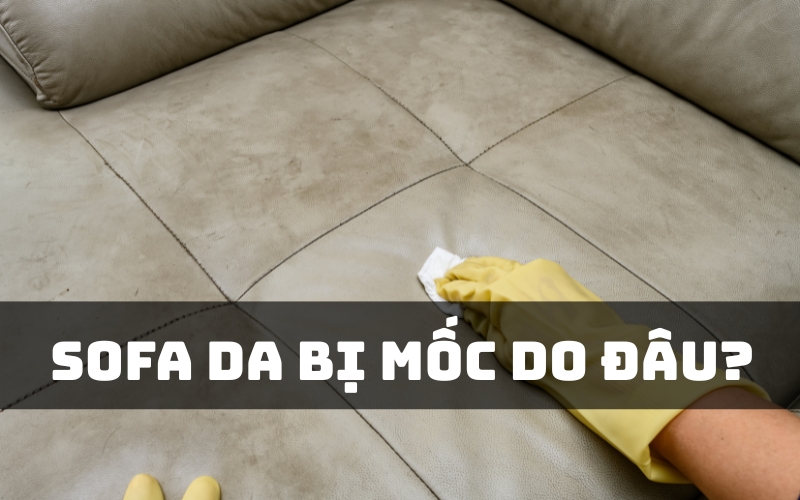 sofa da bị mốc