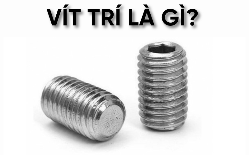 vít trí là gì