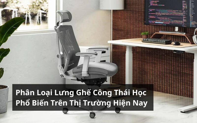 phân loại lưng ghế công thái học
